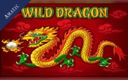 Wild Dragon slot logo