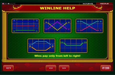 Wild Dragon Slot Machine Paylines Screen