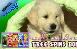 OMG! Puppies slot logo