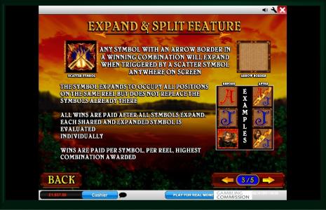 Archer Slot Machine Wild Symbol Screen
