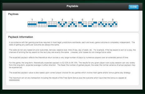 Shes a Rich Girl Slot Machine Paylines Screen