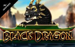 Black Dragon slot logo