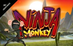 Ninja Monkey slot logo